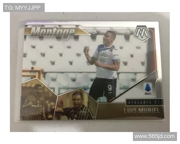 帕尼尼足球星卡全解析不同种类及收藏价值详解